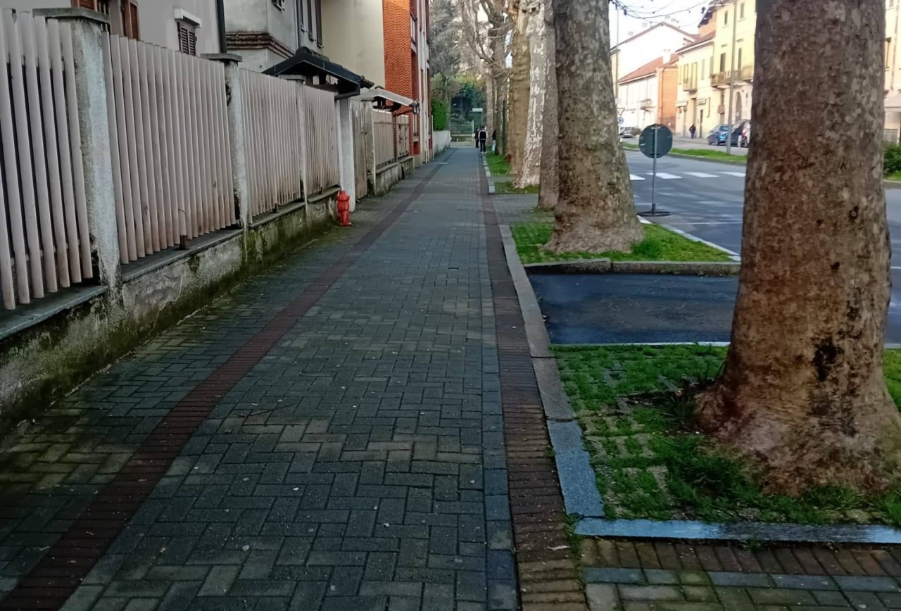 Pulizia straordinaria in Viale Mazzini: un passo verso il decoro urbano