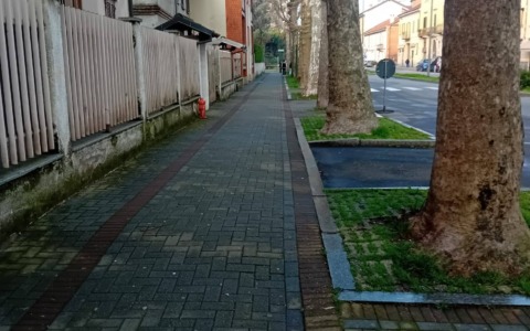 Pulizia straordinaria in Viale Mazzini: un passo verso il decoro urbano