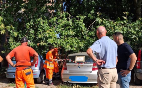 Rimozione delle auto abbandonate nelle case Aler di Abbiategrasso